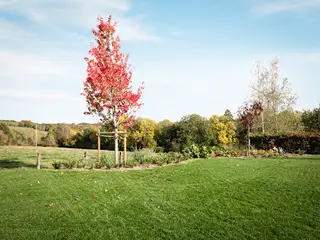 Green Horizon